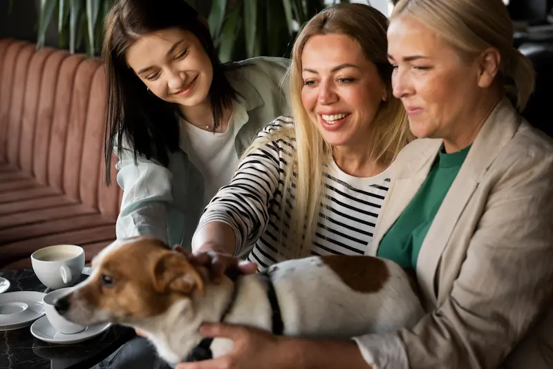 Attorney assisting a dog bite victim with legal paperwork and case strategy.
